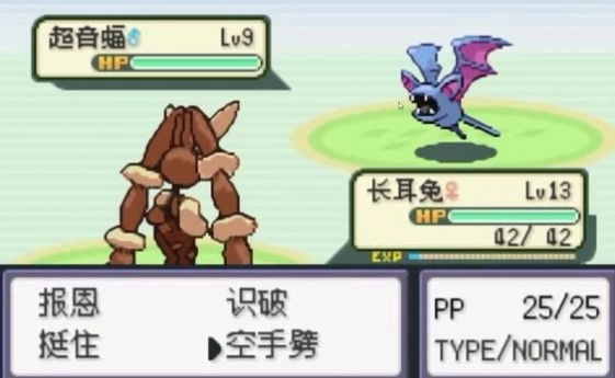 口袋妖怪启示录外传金手指手机版最新版图3