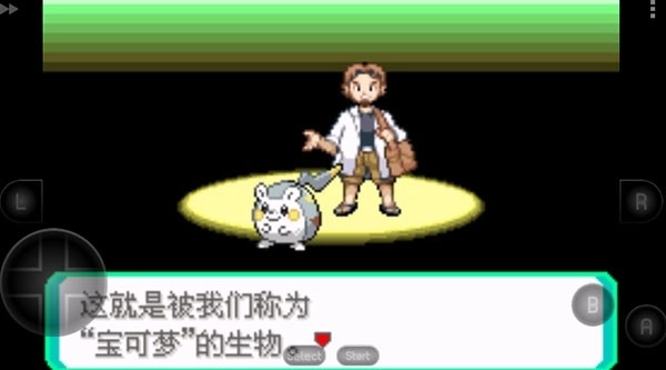 口袋妖怪究极绿宝石5.5图1