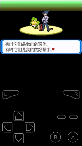 口袋妖怪决心汉化版图2