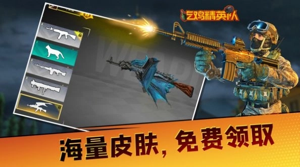 吃鸡精英队游戏最新版图2