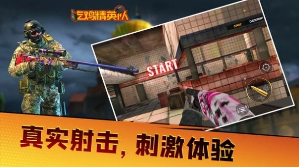 吃鸡精英队游戏最新版图3