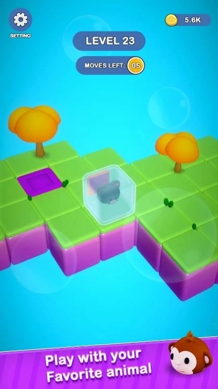 猫猫迷宫冒险游戏最新版图1