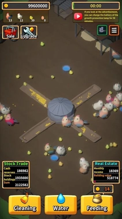 乡村养鸡生活图3