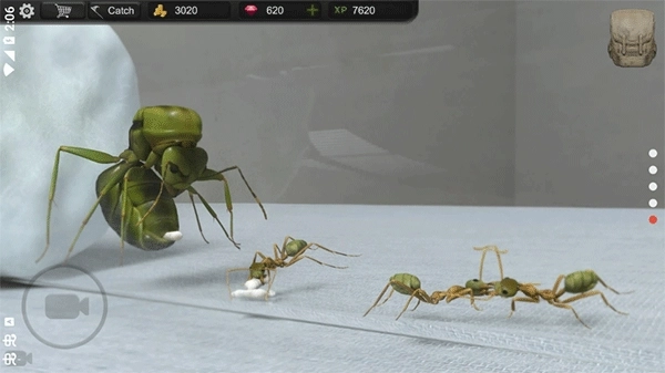 蚂蚁模拟大亨最新版图1