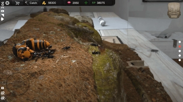 蚂蚁模拟大亨最新版图4