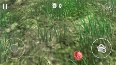 真实采集蘑菇模拟器最新版图4