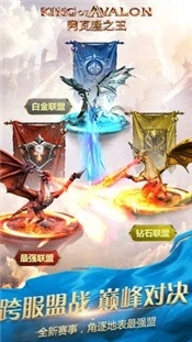 阿瓦隆之王国际服图3