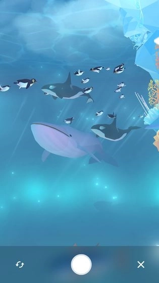 深海水族馆极地国际服图5