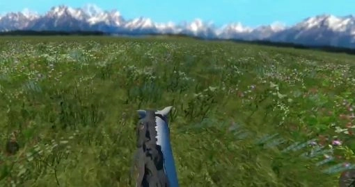 今天你骑马了吗 图3