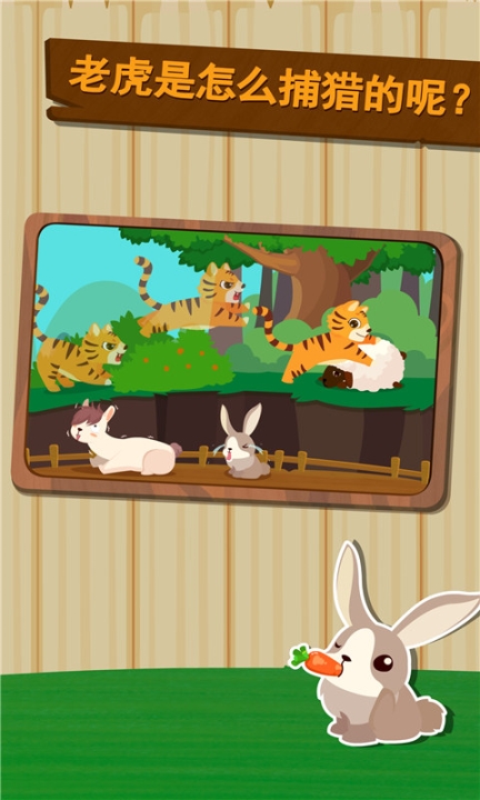 森林動物