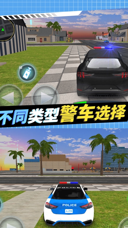 警察抓捕行動