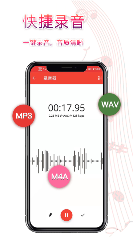 Voice Recorder 点击查看大图