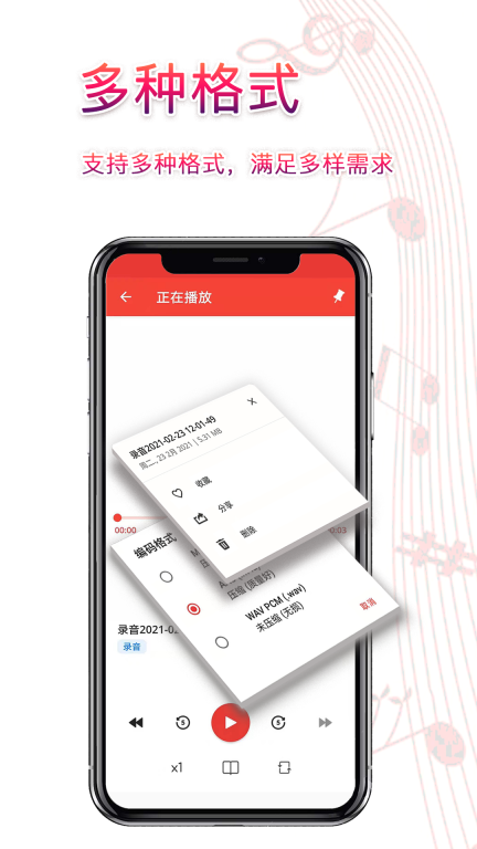 Voice Recorder 点击查看大图