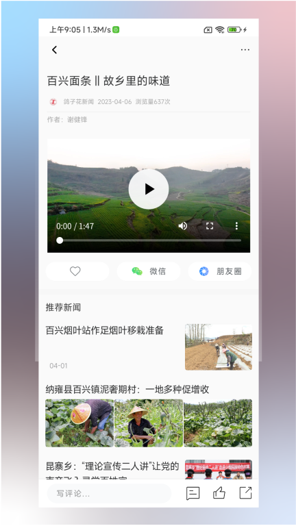 鸽子花新闻 点击查看大图