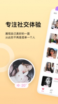 乖豬聊天交友