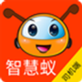 智慧蟻司機(jī)端手機(jī)版