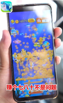 幸福鱼塘 点击查看大图