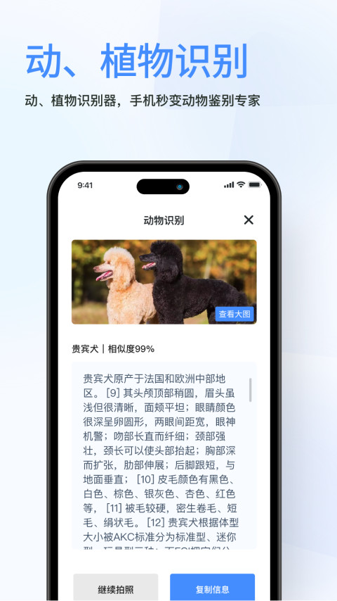 春枫扫描 点击查看大图