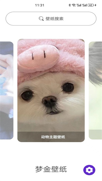 夢金壁紙