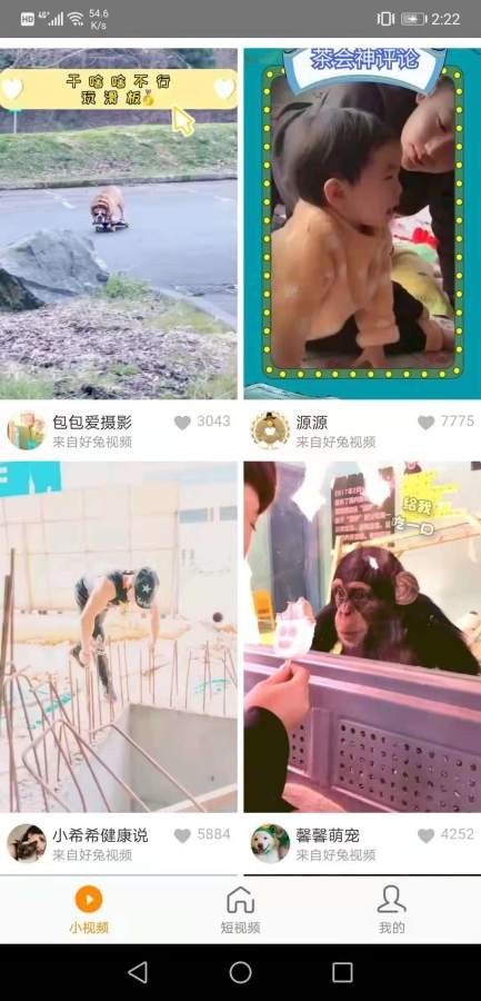 红小狗视频 点击查看大图