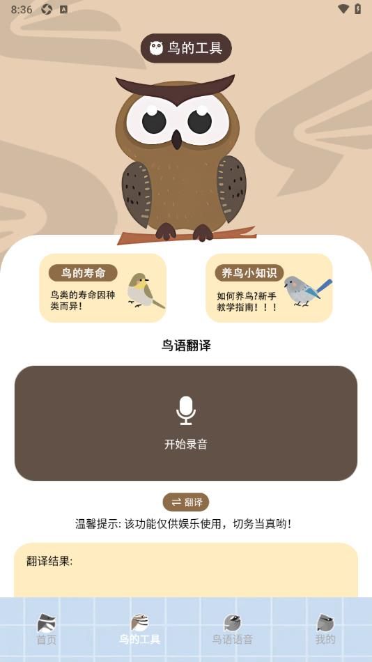 孤独的鸟类家 点击查看大图