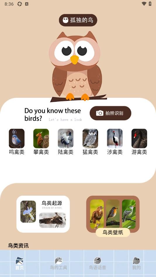 孤独的鸟类家 点击查看大图