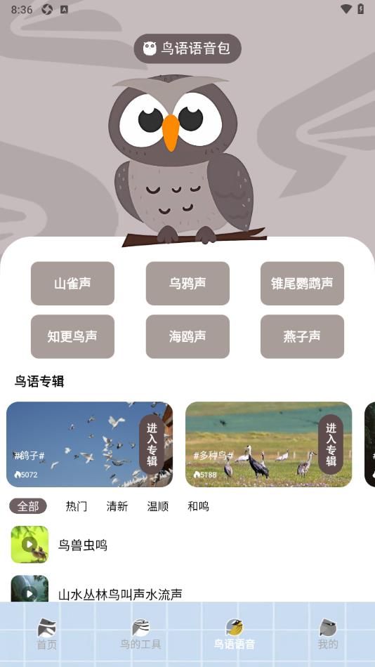 孤独的鸟类家 点击查看大图