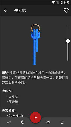 Knots 3D中文最新版
