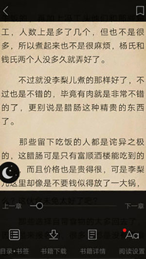 藍莓小說