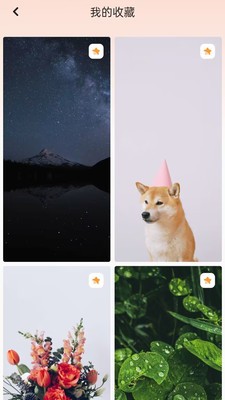 天天换壁纸 点击查看大图