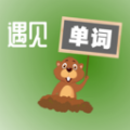 單詞遇見鼠手機版