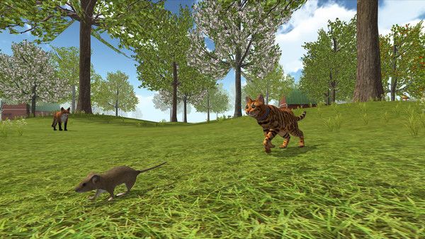 猫猫模拟器2020 点击查看大图