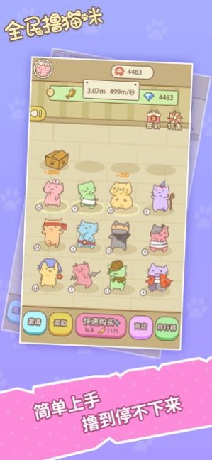 猫猫黄金屋 点击查看大图