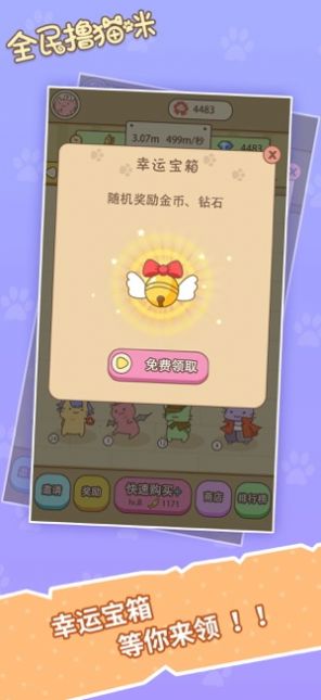 猫猫黄金屋 点击查看大图
