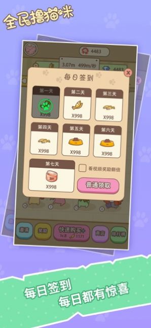 猫猫黄金屋 点击查看大图