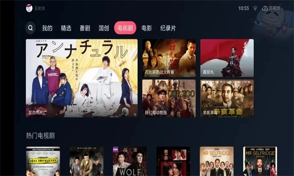 哔哩哔哩电视版图2