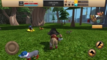 美国ZOOM动物园图4