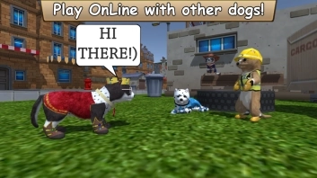 美国ZOOM动物园图6