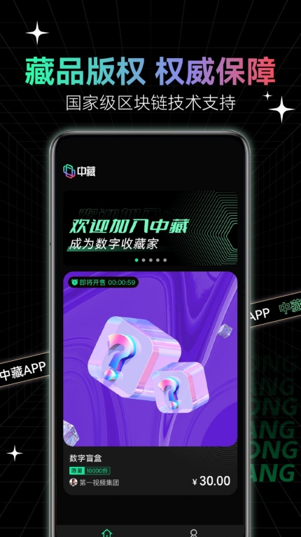 中藏数字藏品 点击查看大图