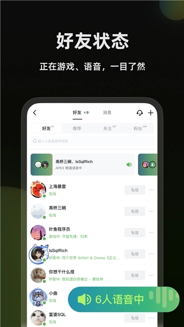 小黑盒语音图4