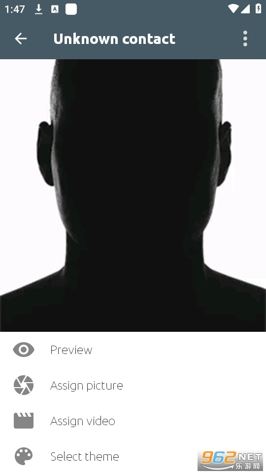 FullScreenCallerID全屏来电大头贴专业版图3