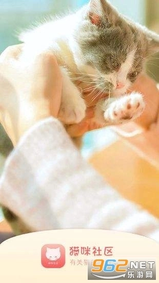 猫咪社区2025图1