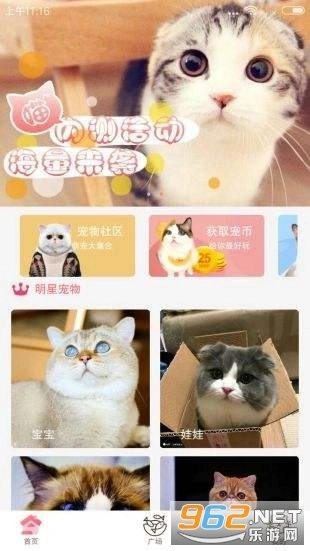 猫咪社区2025图2