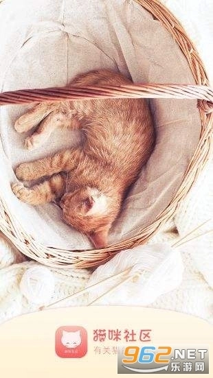 猫咪社区2025图5