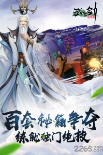 武当剑 点击查看大图