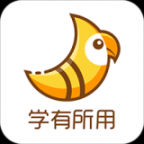 斑鳩職業(yè)