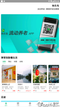 快乐鸟 点击查看大图
