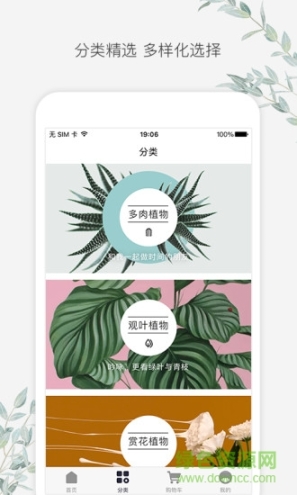点击查看大图