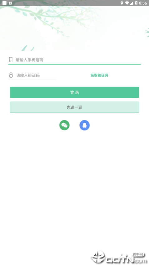 快乐鸟 点击查看大图