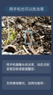 幸運之眼